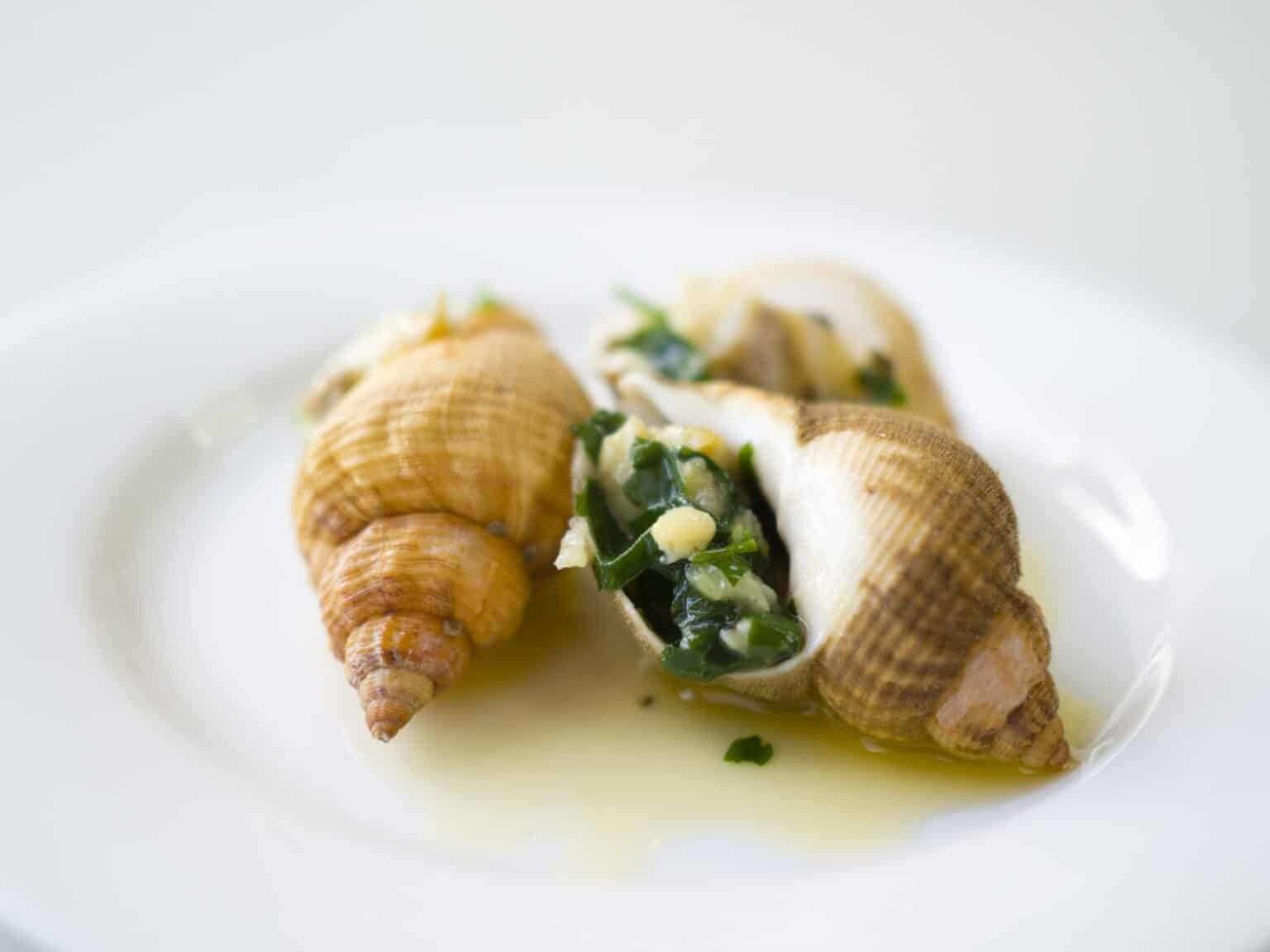 Getting to Grips with Shellfish - The Shellfish Association of Great ...