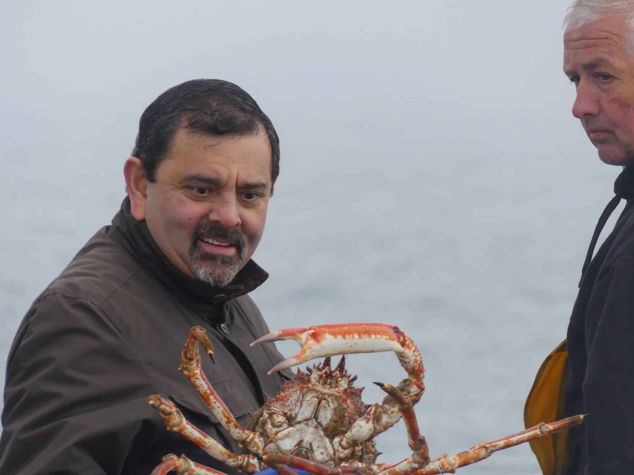 Spider Crab - no longer just for export! - The Shellfish Association of ...